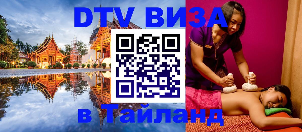 Оформление DTV визы под ключ: стоимость и тарифы, только загранпаспорт - Новочеркасск  19.11.2025 